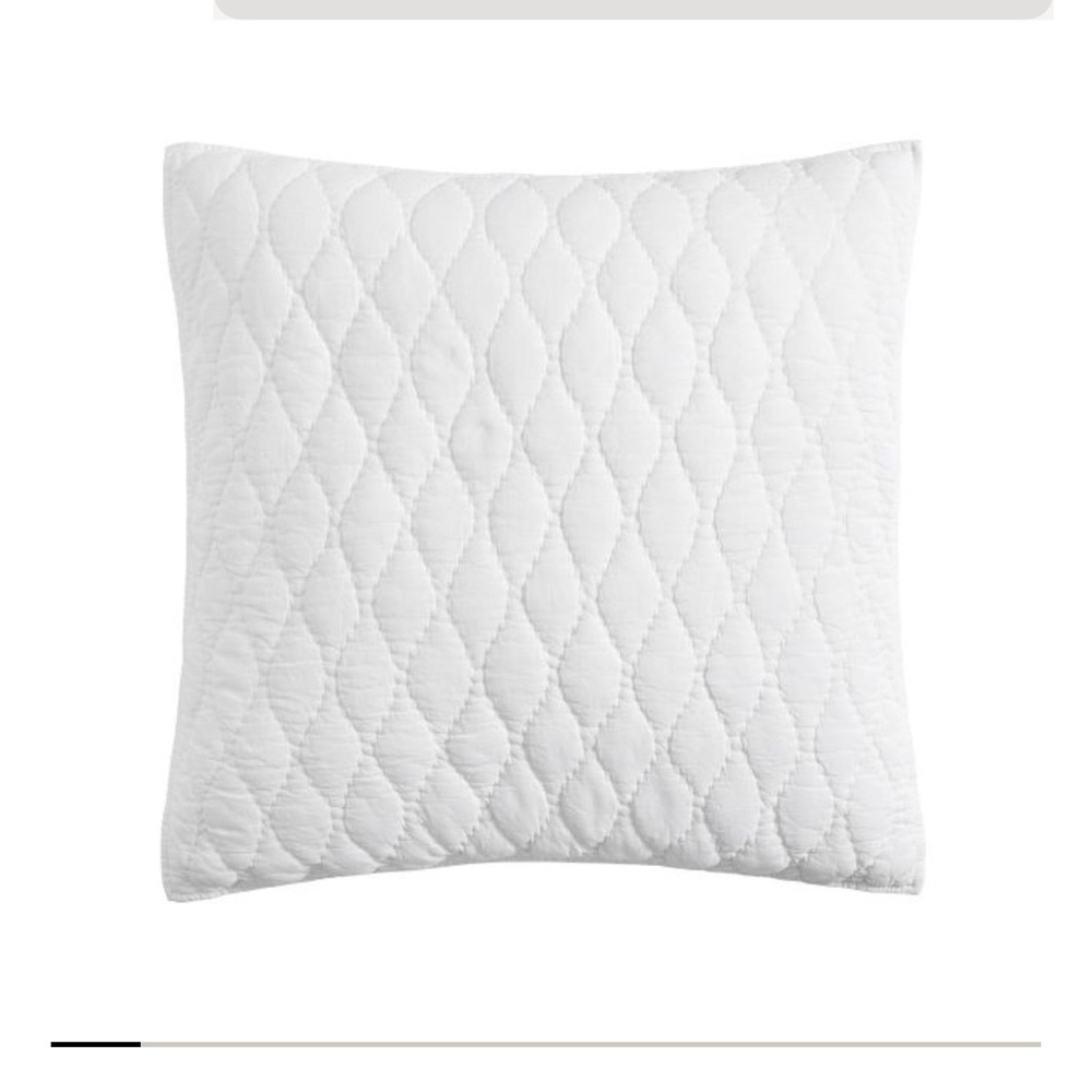 NWT pottery barn Euro pillow sham. I only have one. Color is white. Cocoon